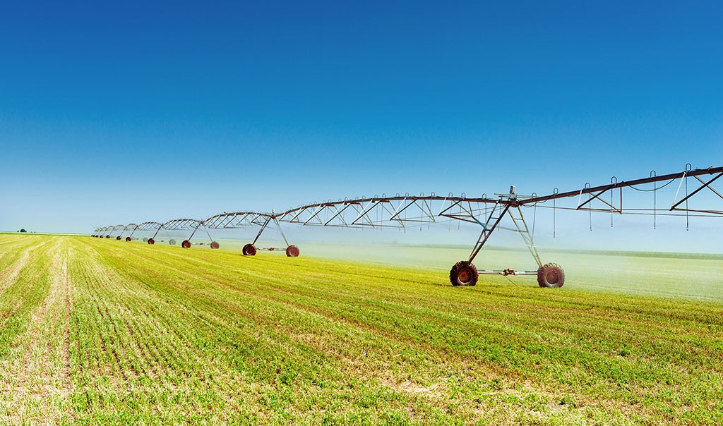 Crops field with spraying machinery