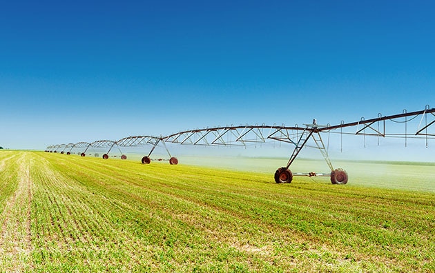 Crops field with spraying machinery