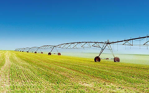 field of crops with machinery spraying liquid on plants