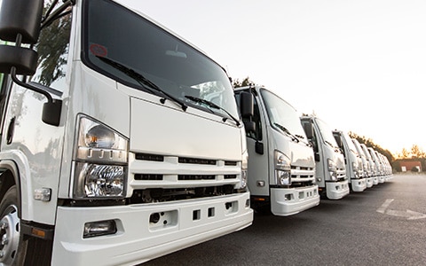 row of trucks in a fleet