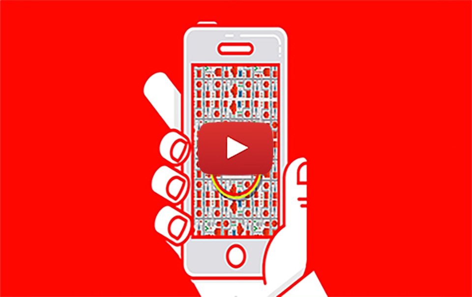 Hand holding cell phone