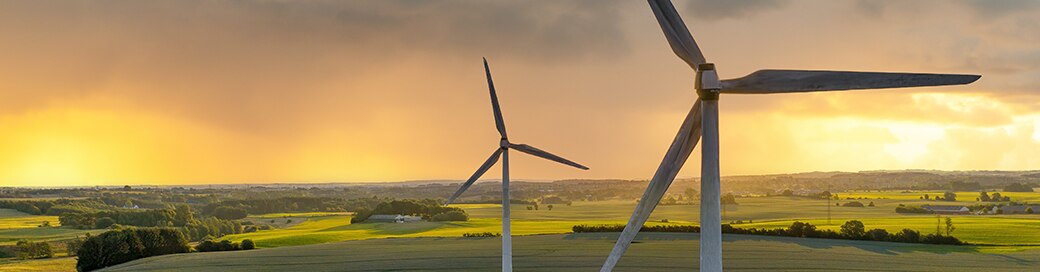 view of wind mills on a green plain at sunset