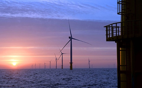 shot of of offshore windmill farm at sunrise