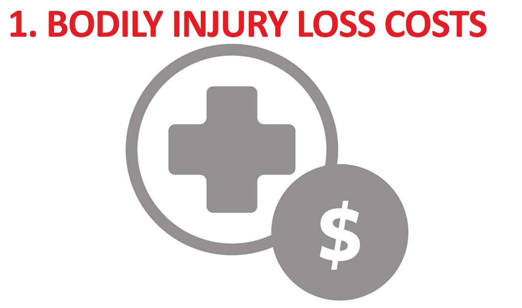 Bodily Injury Loss Costs