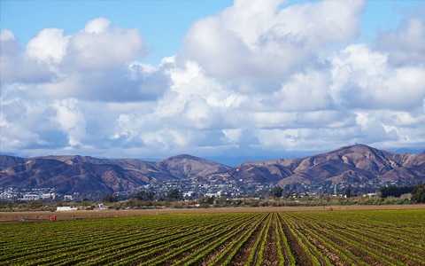 Agribusiness Wildfire Protection