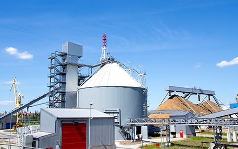 Biomass Power Generation Facility