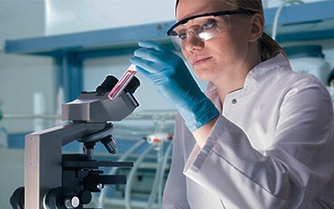 Travelers Industrial Hygiene Lab