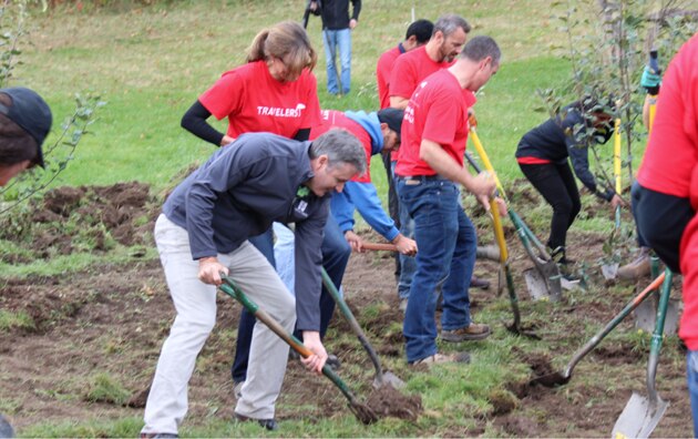 Group of people digging holes to plant trees