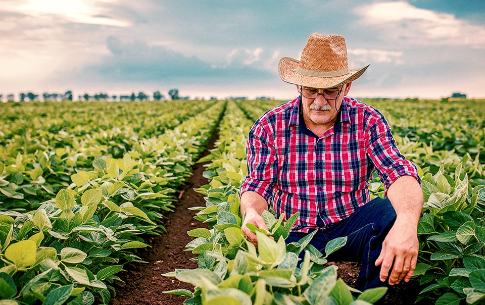 Farmer sitting in field examining his crops. Protecting Your Farm or Ranch from Business Liabilities