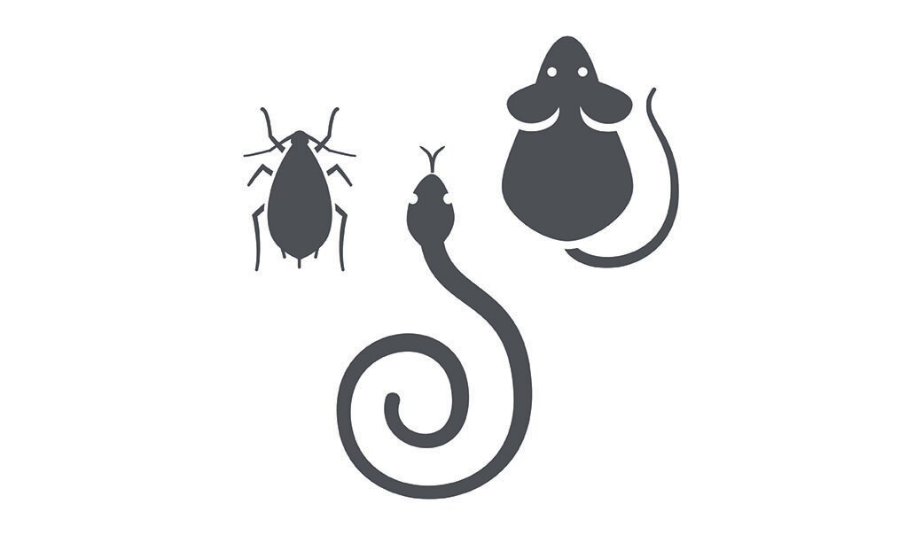 icon of a snake, cockroach and a rat