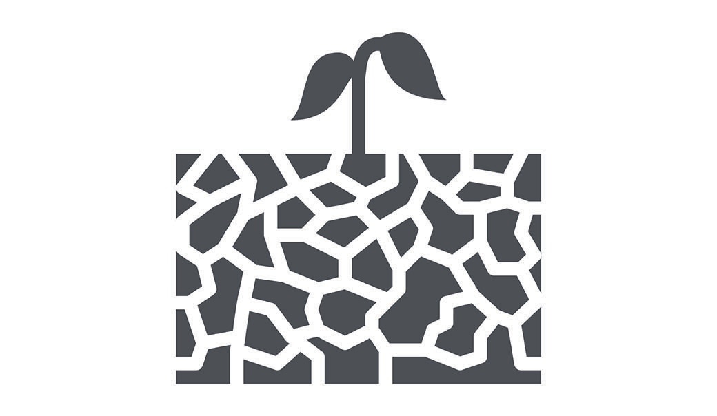 icon of a plant growing in a patch of soil