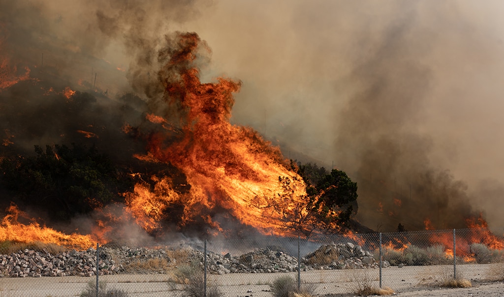 wildfire burning in field