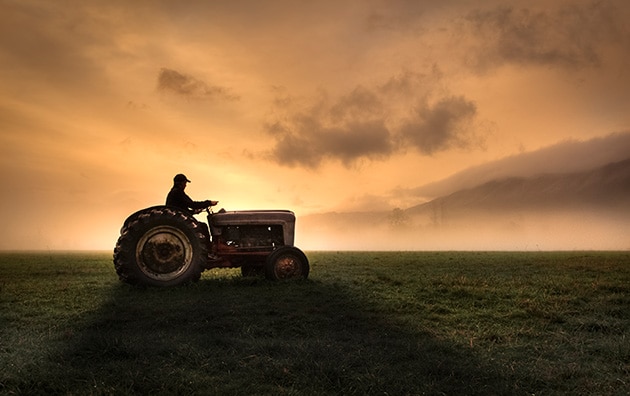 Farmer driving tractor on farm