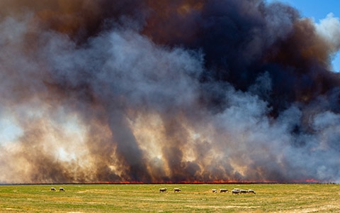 farmland on fire