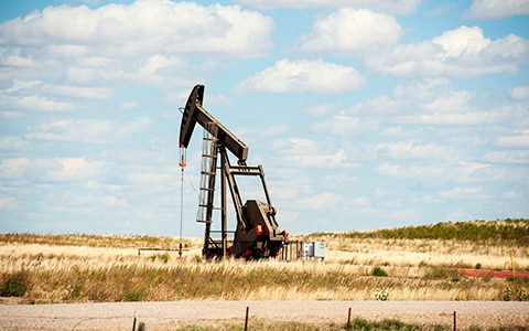 Oil pumpjack in field.