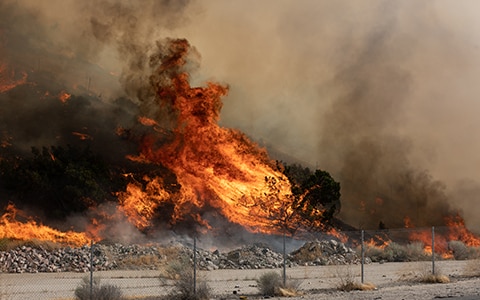 wildfire burning in field