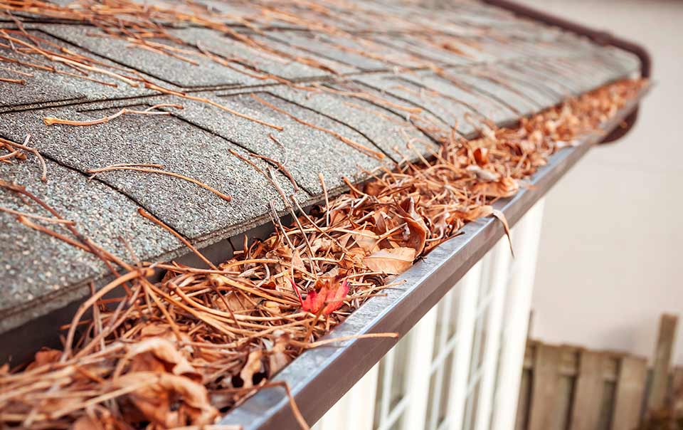 Gutters filled with leaves in the fall