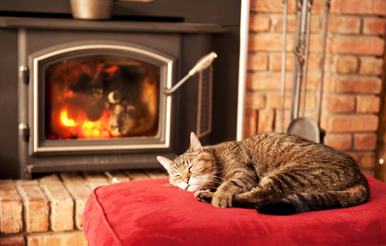 Car sitting in front of a wood stove