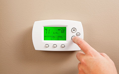 Snowbird thermostat