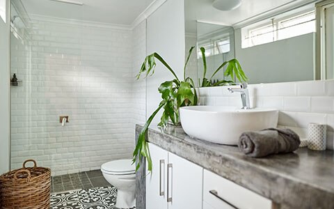 Clean bathroom with counter and plant.