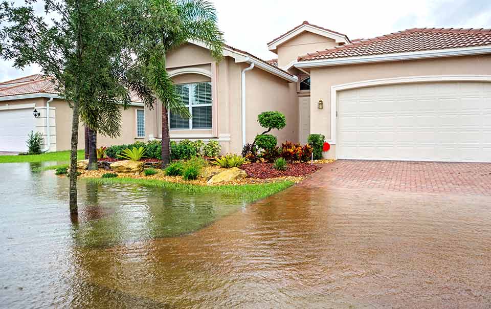 Shielding Against Disaster: Flood Damage Protection