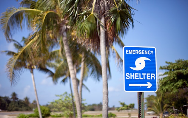 Emergency Shelter sign in front of palm trees, Preparing Your Business for Hurricane Season During the COVID-19 Pandemic