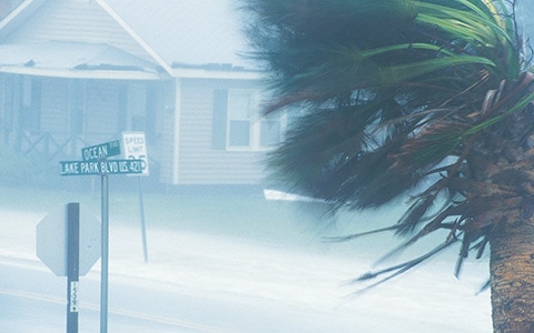 Rain and wind during a hurricane