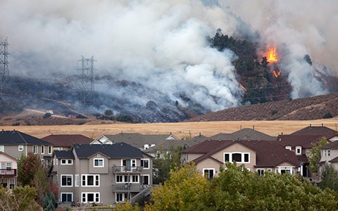 Wildfire in residential area