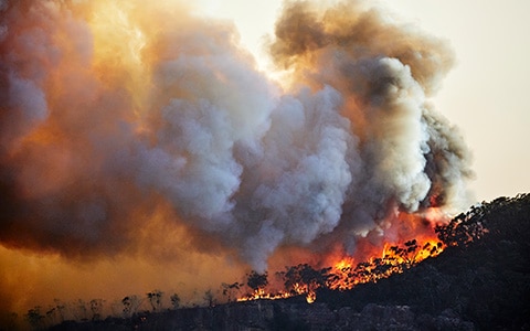 smoke billowing in the air from a wildfire on a nearby ridge. Air Quality Health Concerns Related to Wildfire Smoke