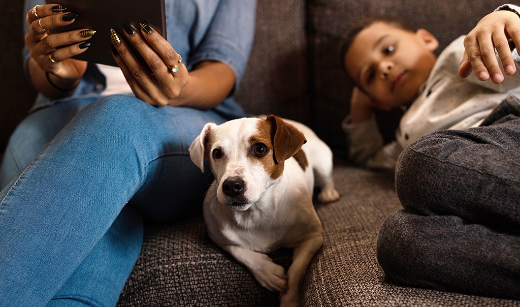 Dog sitting on couch in between an adult and a child. How to Tell If Your Dog Is Sick