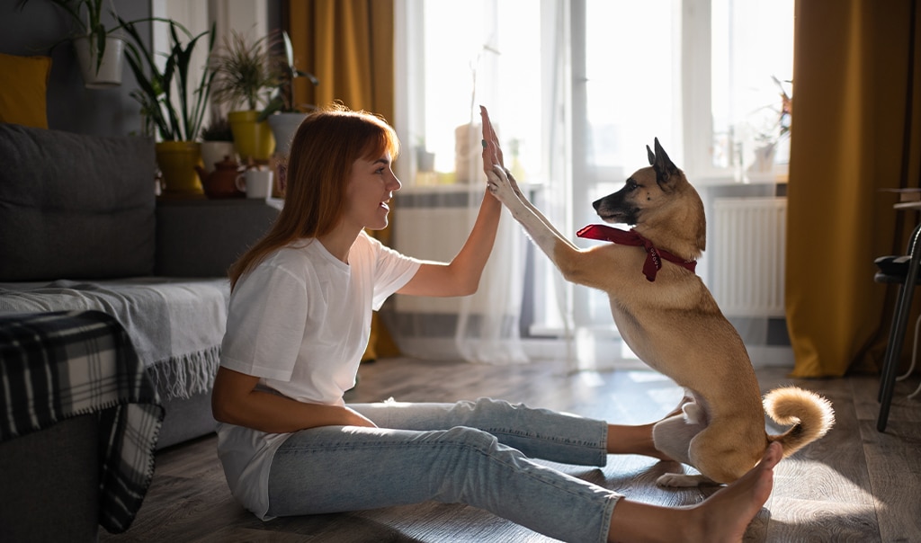 woman holding up hand to dogs paw