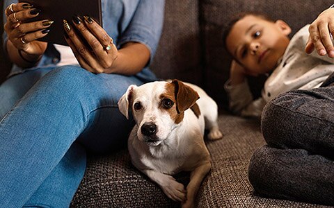 Dog sitting on a sofa in between an adult and a kid. How to Tell If Your Dog Is Sick