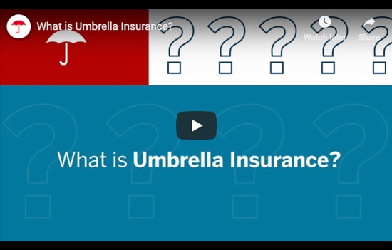 Small Business Umbrella Insurance Travelers Insurance