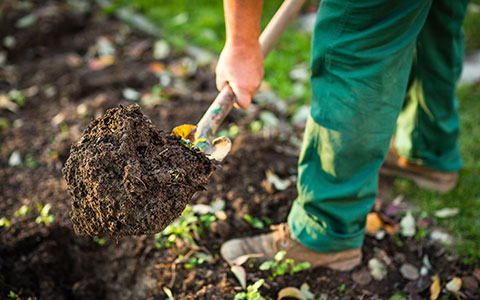 person digging a hole in garden