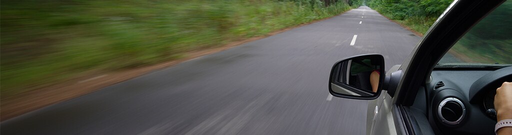 woman driving in forest